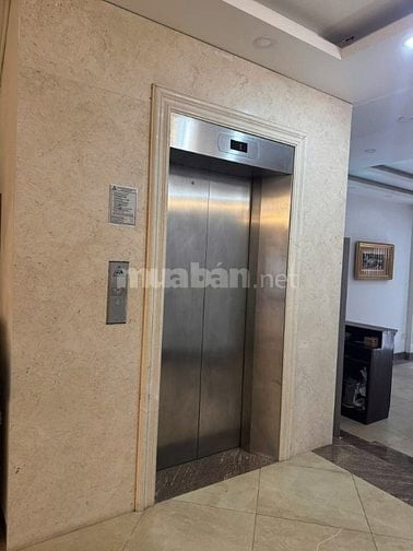 Bán tòa Apartment cao cấp Liễu Giai 8 tầng 1 tum 13 Căn Hộ 1 Penthouse