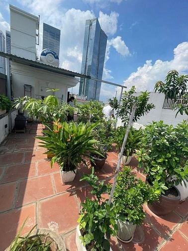 Bán tòa Apartment cao cấp Liễu Giai 8 tầng 1 tum 13 Căn Hộ 1 Penthouse