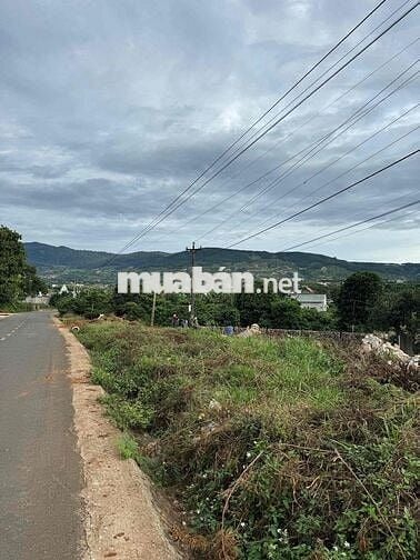 SIÊU HOT – CẦN SANG NHƯỢNG GẤP LÔ ĐẤT MẶT TIỀN NHỰA CHÍNH ĐÔNG THANH 6