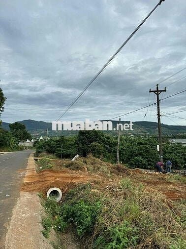 SIÊU HOT – CẦN SANG NHƯỢNG GẤP LÔ ĐẤT MẶT TIỀN NHỰA CHÍNH ĐÔNG THANH 6