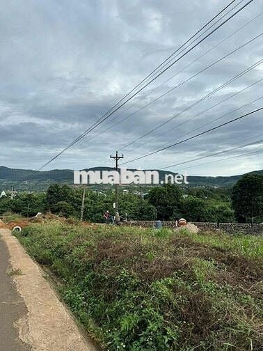 SIÊU HOT – CẦN SANG NHƯỢNG GẤP LÔ ĐẤT MẶT TIỀN NHỰA CHÍNH ĐÔNG THANH 6