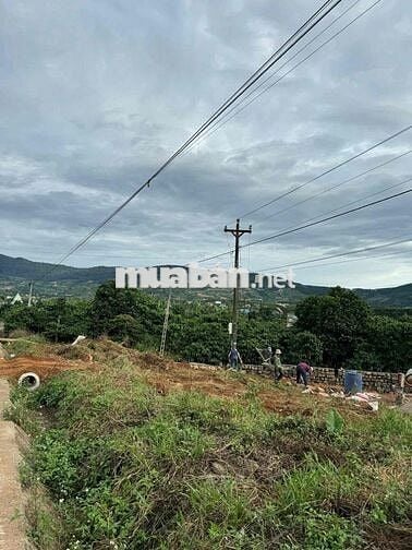 SIÊU HOT – CẦN SANG NHƯỢNG GẤP LÔ ĐẤT MẶT TIỀN NHỰA CHÍNH ĐÔNG THANH 6