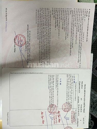 Conic Garden 42,1m2 shr NH hỗ trợ 1,1tỷ Nhà mới tinh ở liền MG 20tr   