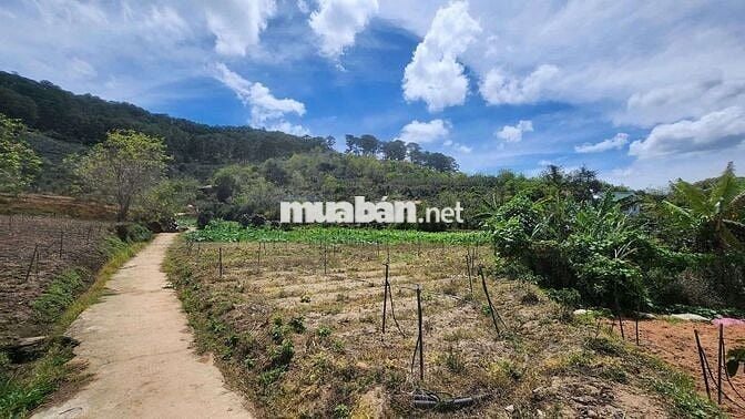 Chủ gửi bán lô đất Lâm Hà, Lâm Đồng giá chỉ 650tr