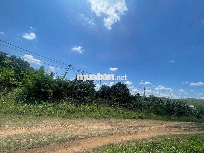 chinh chủ cần bán lô đất đẹp sẵn vườn tại Phú Xuân Krong Năng đaklak