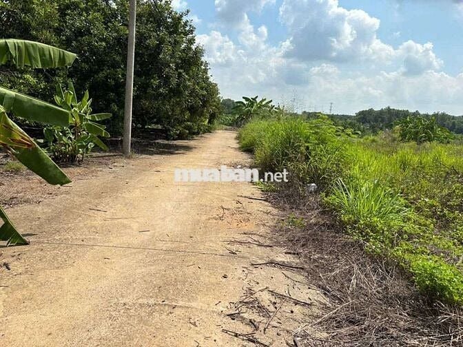 Chủ gửi bán lô đất Lâm Hà, Lâm Đồng giá chỉ 650tr