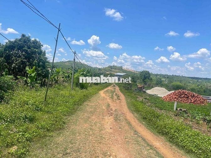 chinh chủ cần bán lô đất đẹp sẵn vườn tại Phú Xuân Krong Năng đaklak