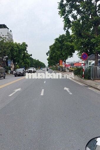 Mảnh đất đẹp phố Hoa Lâm 50m2, vừa tầm tiền, chỉ 3 bước ra ô tô tránh Mảnh đất đẹp phố Hoa Lâm 50m2, vừa tầm tiền, chỉ 3 bước ra ô tô tránh