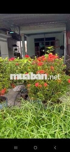 Này SHR 287,3m2 ( 7m x 38m ). Hẻm xe hơi Đường Hiệp Thành 13