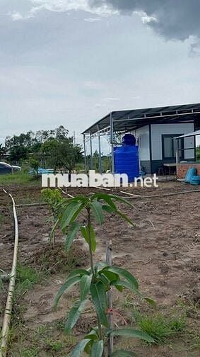 Nhà vườn ven rạch có 200m thổ cư giá 999tr - cách SG 65km