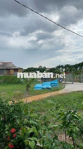 Nhà vườn ven rạch có 200m thổ cư giá 999tr - cách SG 65km