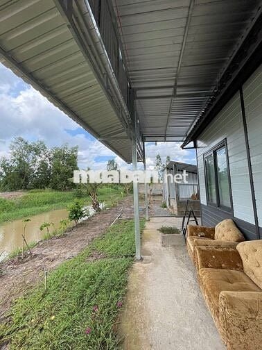 Nhà vườn ven rạch có 200m thổ cư giá 999tr - cách SG 65km