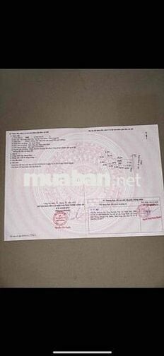 423m2 Thổ + CLN xã Long Hựu Tây, huyện Cần Đước, Long An