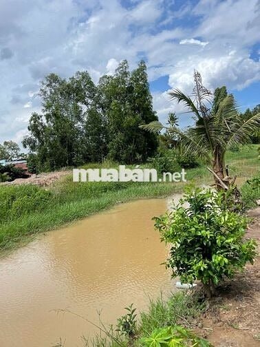 Nhà vườn ven rạch có 200m thổ cư giá 999tr - cách SG 65km