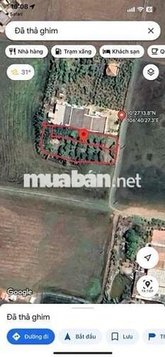 423m2 Thổ + CLN xã Long Hựu Tây, huyện Cần Đước, Long An