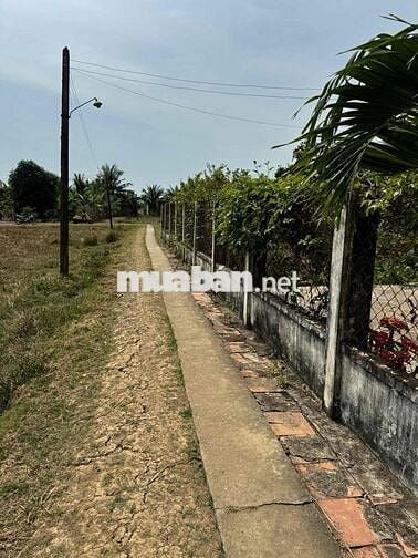 423m2 Thổ + CLN xã Long Hựu Tây, huyện Cần Đước, Long An