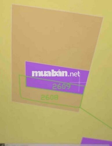 423m2 Thổ + CLN xã Long Hựu Tây, huyện Cần Đước, Long An