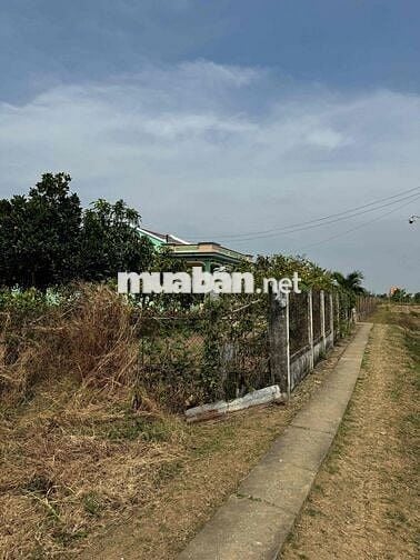 423m2 Thổ + CLN xã Long Hựu Tây, huyện Cần Đước, Long An