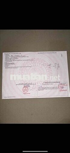 423m2 Thổ + CLN xã Long Hựu Tây, huyện Cần Đước, Long An