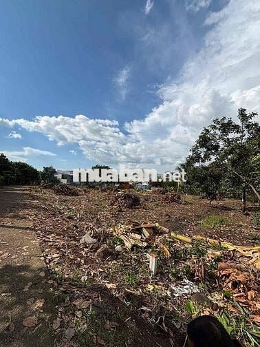 ĐẤT NỀN P.BÌNH LỘC- SỔ RIÊNG FULL THỔ CƯ