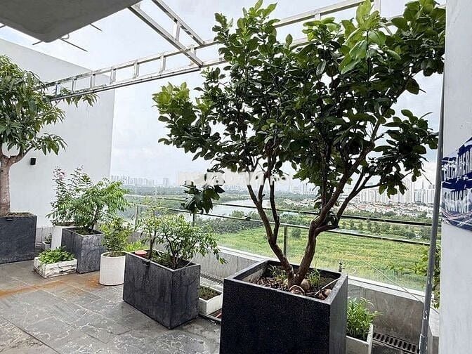 💕Bán penthouse BellezaQ7* Nhà decor*FullNTCC*Dt 92m2*1pn*Giá 5.38tỷ