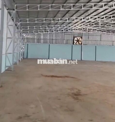 Cần cho thuê gấp kho diện tích lên đến 650m2 ở Đường Trần Trọng Cung