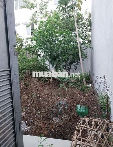 ĐẤT NỀN CHỢ BÌNH ĐIỀN, VỊ TRÍ ĐẸP, GẦN TRẠM THU PHÍ CHỢ, ĐƯỜNG LỚN