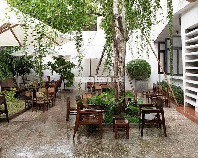 CHO THUÊ BIỆT THỰ SÂN VƯỜN TRẦN NHẬT DUẬT, Q1 – DT 14x24M, TRỆT, 70TR