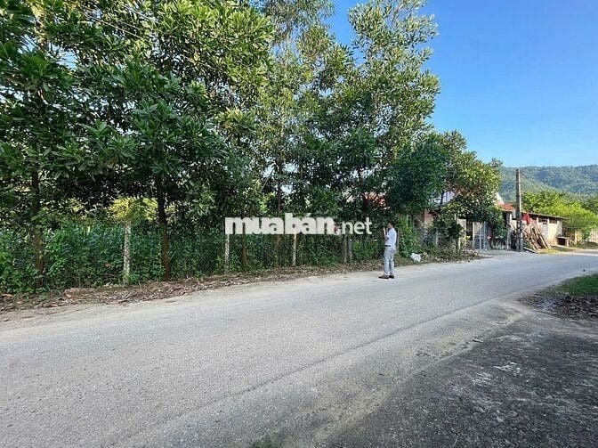 Đất hiếm Ngọc Thanh, Phúc Yên, Vĩnh Phúc 1280m chỉ 3.3 tỷ