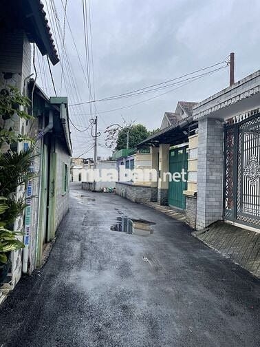 Bán Nhà Cù Lao Hiệp Hoà, Sổ riêng thổ cư, Biên Hoà, Đồng Nai