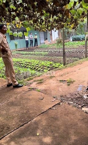 THÔNG BÁO ĐẤU GIÁ TÀI SẢN THEO THỦ TỤC RÚT GỌN