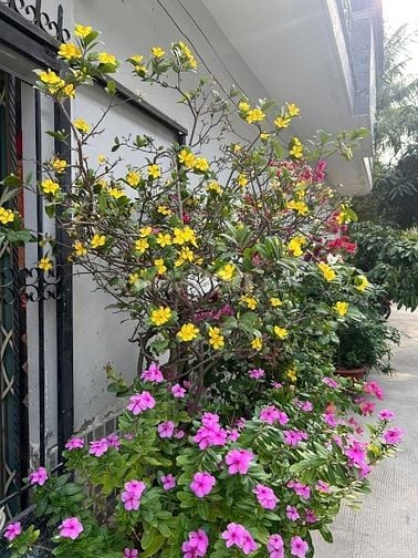 Hiếm, căn góc 6,5❌12,5, 2 tầng, 🚗 vi vu, Lê Văn Lương, Phước Kiển, NB