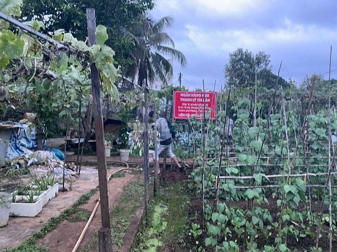 THÔNG BÁO ĐẤU GIÁ TÀI SẢN THEO THỦ TỤC RÚT GỌN