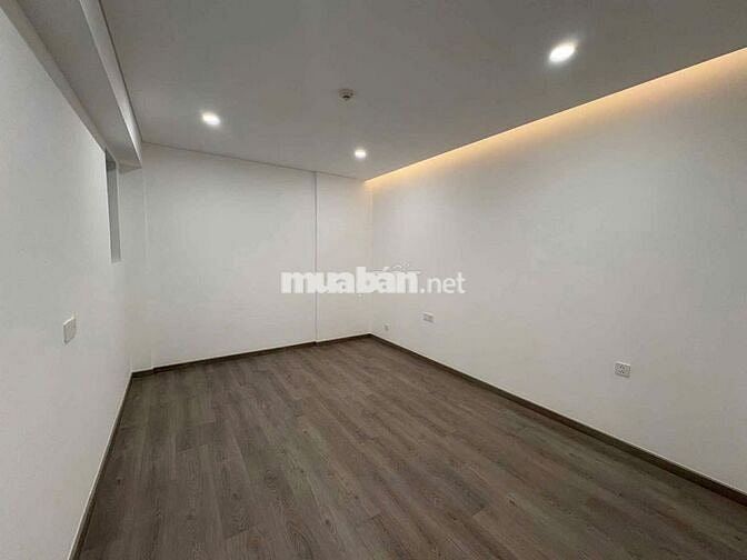 🌈 DIAMOND SKYLINKED VILLA – Analta Plus gara trước cửa 22 triệu/tháng!