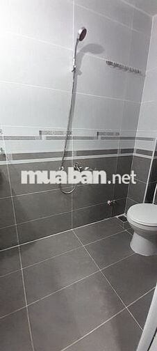 cho thuê nhà nguyên căn hẻm Dương Q Hàm P5 GV