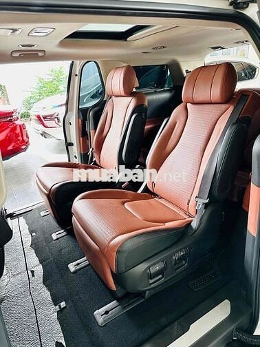 Carnival Signatuner 2.2 7S Full Dầu 2022