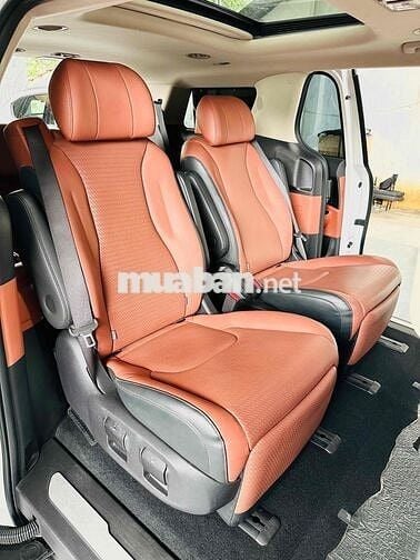 Carnival Signatuner 2.2 7S Full Dầu 2022