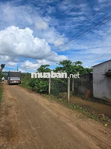 🌿 BÁN ĐẤT SIÊU RẺ ĐINH VĂN, LÂM HÀ – GIÁ CHỈ 435 TRIỆU/LÔ 🌿