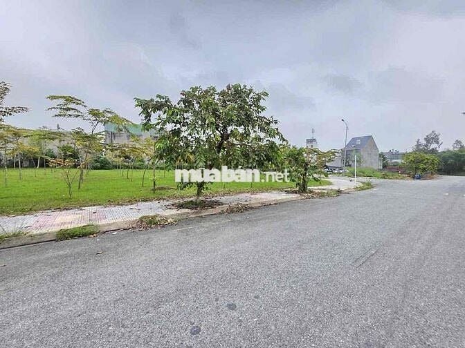 Đất 133m2 mặt tiền khu Hố Lang, p Tân Bình, Tp Dĩ An