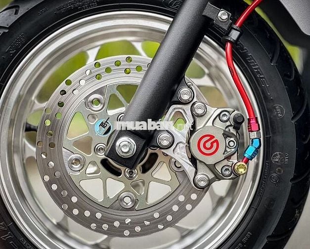 Lead 4val cuối đời 2024 options real