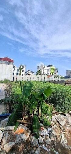 Bán Đất Hải Bối Đông Anh 71m2 5.39 tỉ Bán Đất Hải Bối Đông Anh 71m2 5.39 tỉ