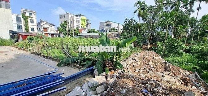 Bán Đất Hải Bối Đông Anh 71m2 5.39 tỉ Bán Đất Hải Bối Đông Anh 71m2 5.39 tỉ