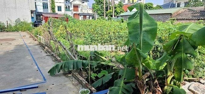 Bán Đất Hải Bối Đông Anh 71m2 5.39 tỉ Bán Đất Hải Bối Đông Anh 71m2 5.39 tỉ