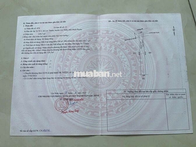 250Triệu/Lô -Xã Lộc Ninh - Bình Phước