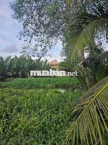 NGỘP, NGỘP 3.268M2 ĐẤT RUỘNG SIÊU ĐẸP GIÁP RANH HCM, 62M MẶT TIỀN KÊNH