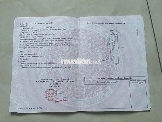 250Triệu/Lô -Xã Lộc Ninh - Bình Phước