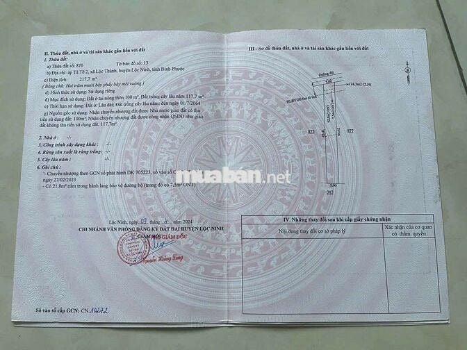 250Triệu/Lô -Xã Lộc Ninh - Bình Phước