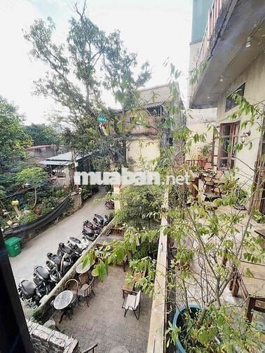 Bán CCMN Mới Tinh Siêu Rộng 58m - Quan Nhân, Thanh Xuân Bán CCMN Mới Tinh Siêu Rộng 58m - Quan Nhân, Thanh Xuân