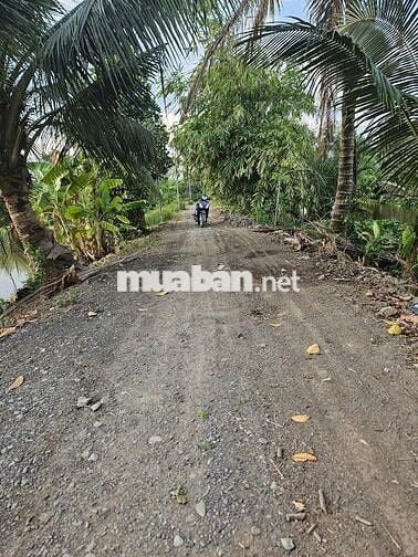 NGỘP, NGỘP 3.268M2 ĐẤT RUỘNG SIÊU ĐẸP GIÁP RANH HCM, 62M MẶT TIỀN KÊNH