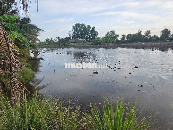 NGỘP, NGỘP 3.268M2 ĐẤT RUỘNG SIÊU ĐẸP GIÁP RANH HCM, 62M MẶT TIỀN KÊNH